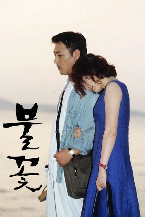 دانلود سریال Fireworks 2000