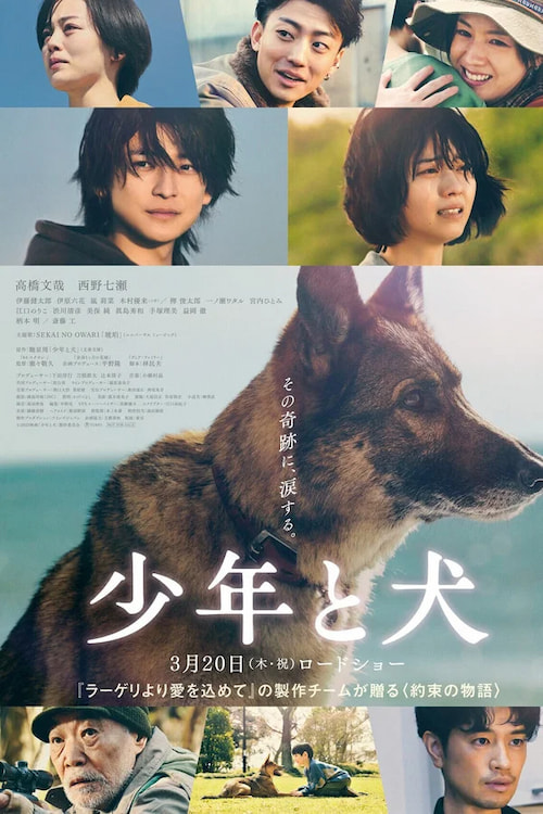 دانلود فیلم The Boy and the Dog 2025