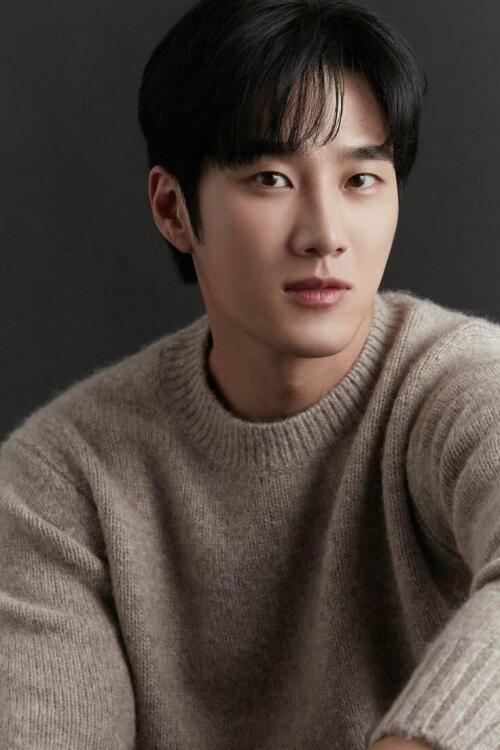 بیوگرافی Ahn Bo Hyun